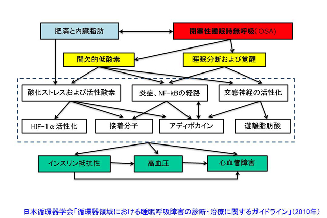 shiomi_fig_021.jpg