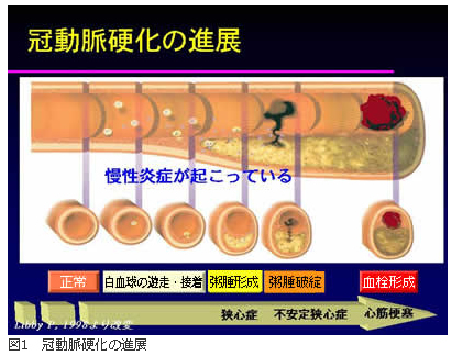 Crp 正常 値