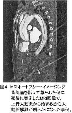 20回図４.jpgのサムネイル画像