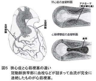 22回図５.jpg