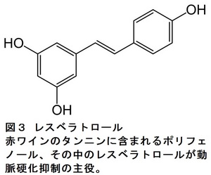 28回図２.jpg