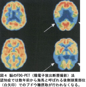 28回図３.jpg