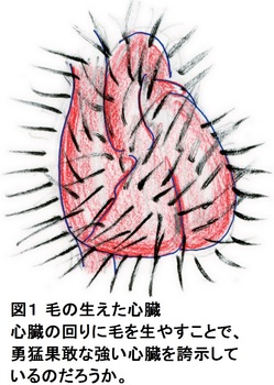 30回図１.jpg