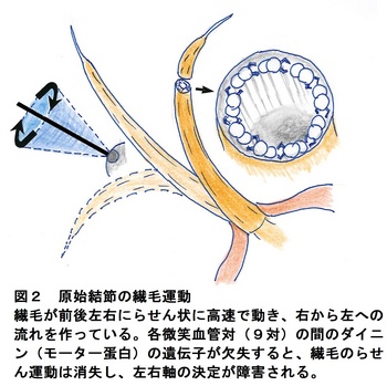 27新図２.jpg