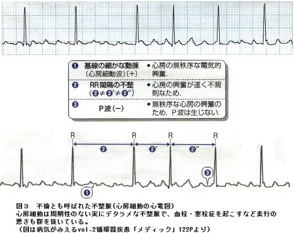 43図３.jpg