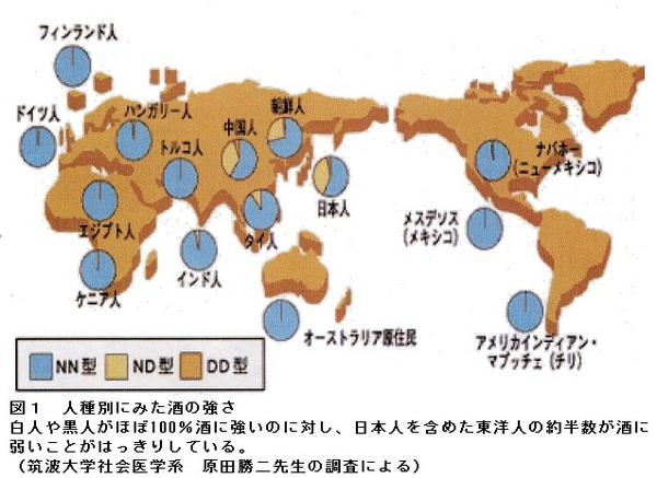 46図１.jpg