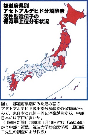 46図２.jpg