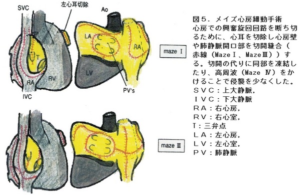 47図５.jpg