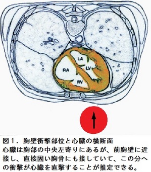 49図1.jpgのサムネイル画像