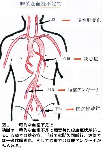 53図1.jpg