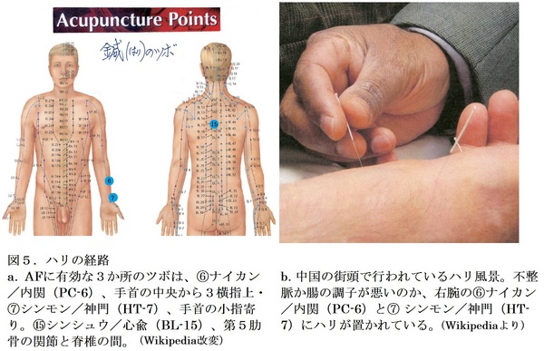 65図-5.jpg