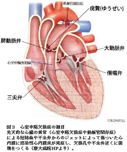 70図３.jpg