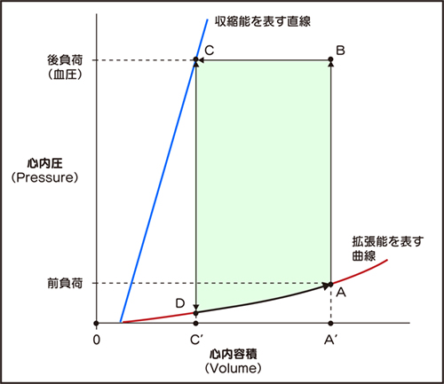 小早川ループ1.jpg