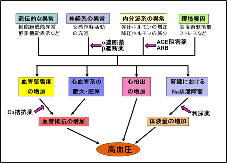 石光図.jpg