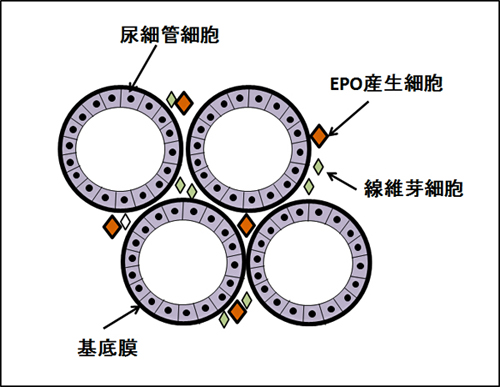 長田図.jpg