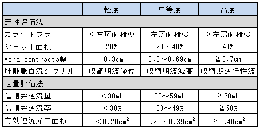 エコー 略語 心