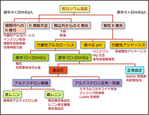 低 カリウム 血 症