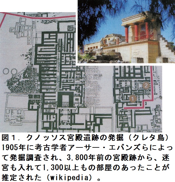 耳寄りな心臓の話（第47話）『心臓手術の迷宮入り』 ｜はあと文庫｜心