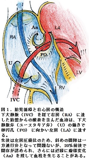 60図1.jpg