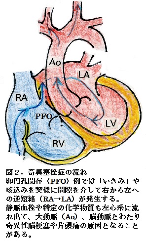 60図2.jpg