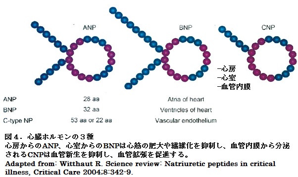 61図4 .jpg