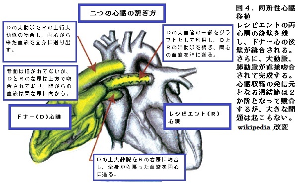 63図4.jpg