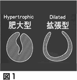 hidai_001.jpg