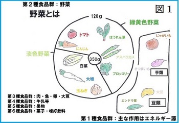 図1 野菜とは.JPG
