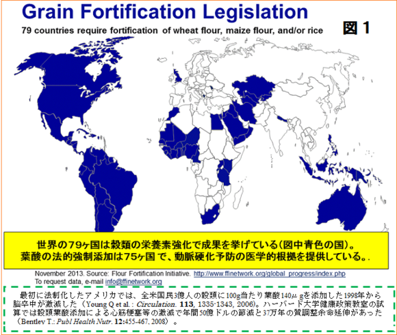 葉酸 図1.png