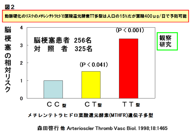 葉酸図2.png