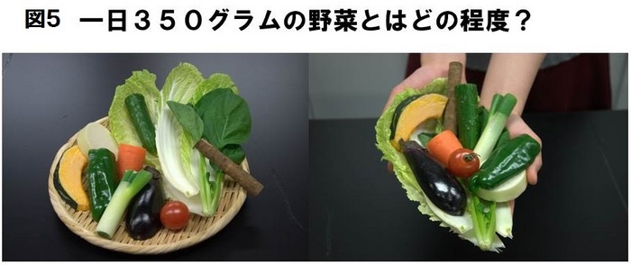 図5野菜の量.JPG