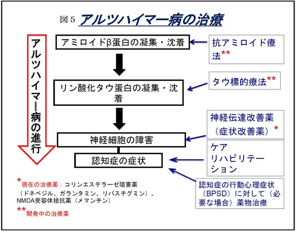 2017.8ず５.jpg