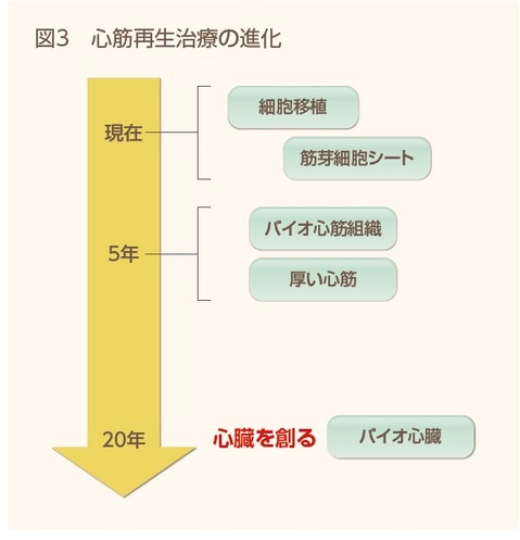 再生医療図３.jpg