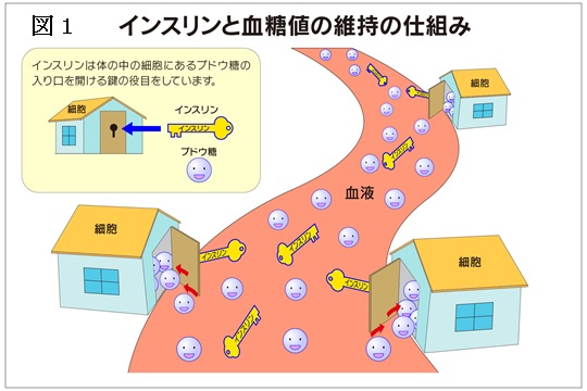 あなたの脚図1.jpg