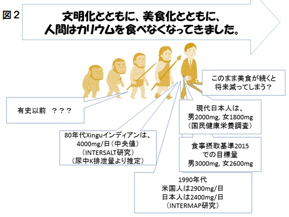 図2カリウム.jpg