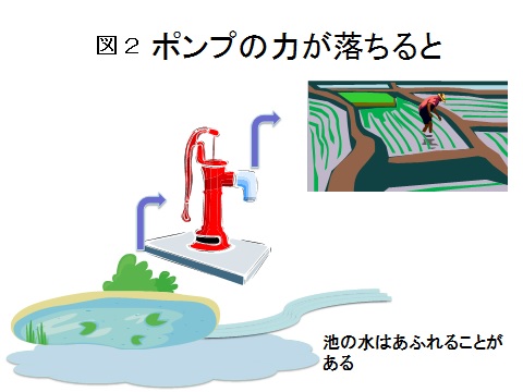 心不全図２.jpg