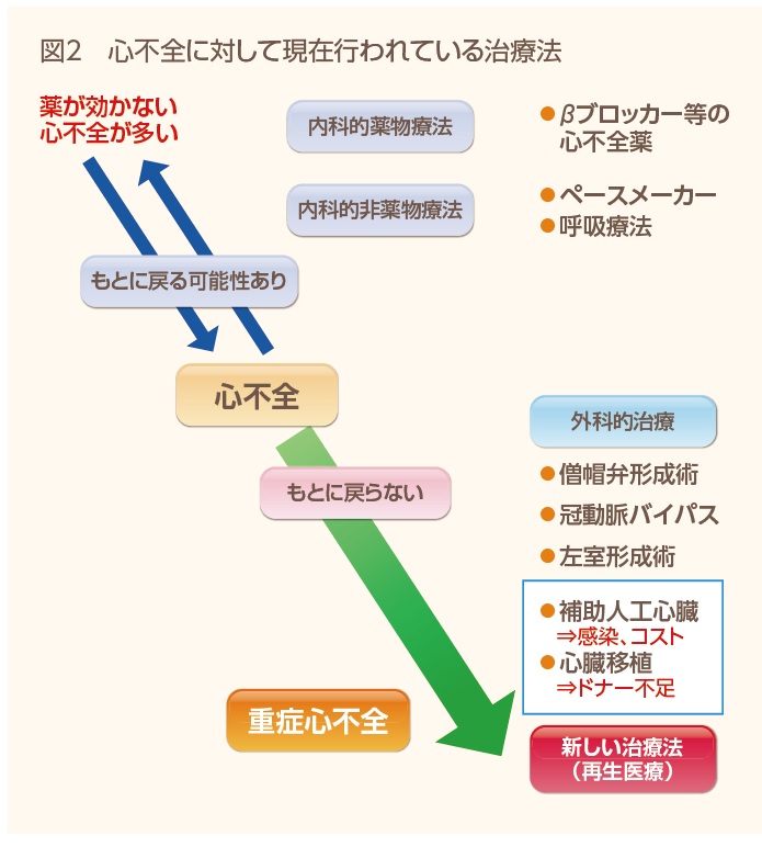 医療 再生