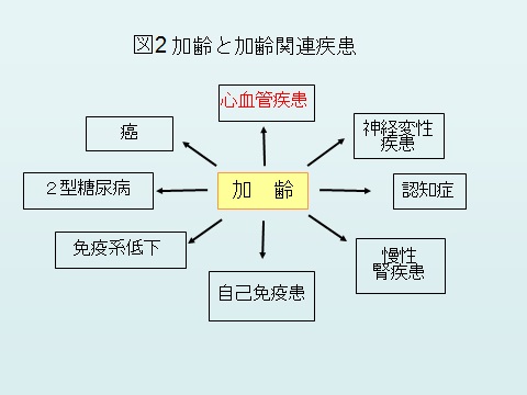 関連 図 心不全