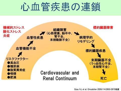 循環器疾患の予防・管理・治療マニュアル レジデントのための循環器疾患診療マニュアル | 書籍詳細 | 書籍