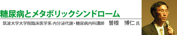 糖尿病とメタボリックシンドローム 筑波大学大学院臨床医学系内分泌代謝内科講師 曽根 博仁氏