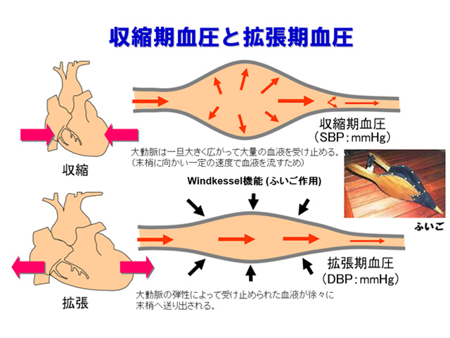 最低 血圧 高い