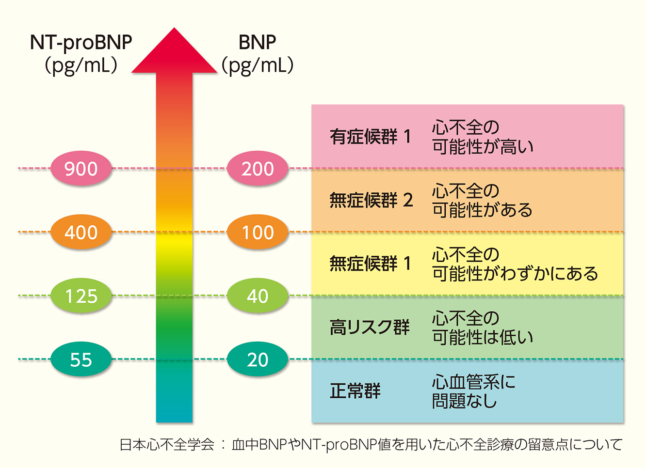 図15：心不全診断におけるBNP・NT-proBNPのカットオフ値