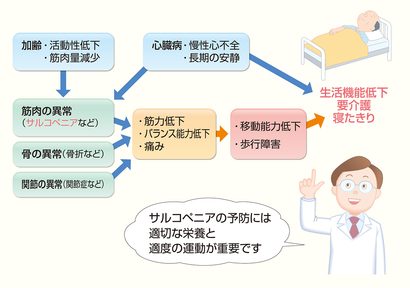 図5：サルコペニアと心不全の関係