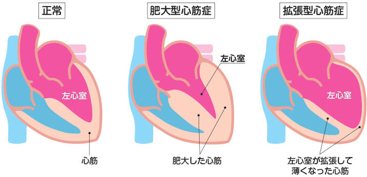 sinkinsho_0809.jpg