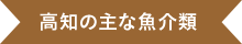 高知の主な魚介類