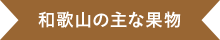 和歌山の主な果物