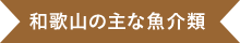 和歌山の主な魚介類