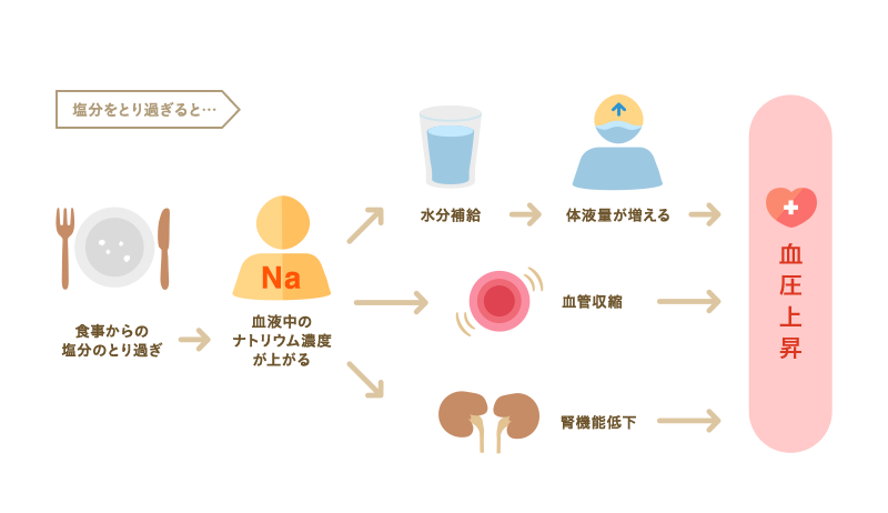 塩分をとり過ぎると… 血圧上昇