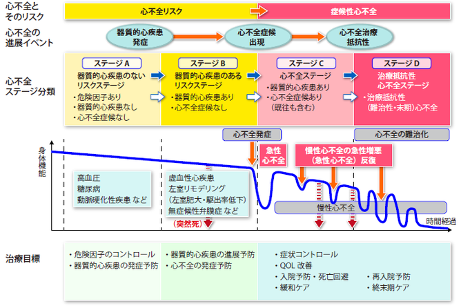 日本 循環 器 学会 ガイドライン