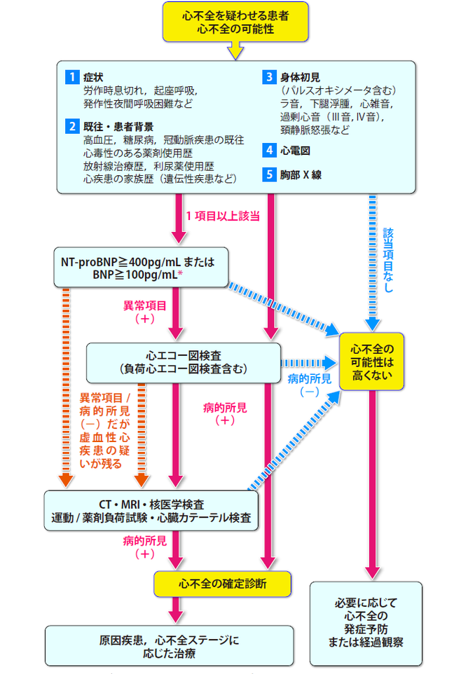 心不全 病態 関連 図